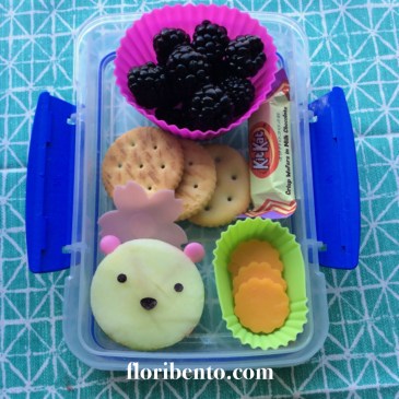 Bear snack bento close up